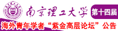 电影操逼网南京理工大学第十四届海外青年学者紫金论坛诚邀海内外英才！